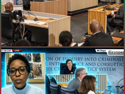 Madlanga Commission | Laura Pop’s testimony unpacked: Dr Shadi Maganoe