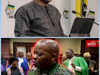 LGE 2026 | Mantashe calls for calm amid ANC candidate list debacle