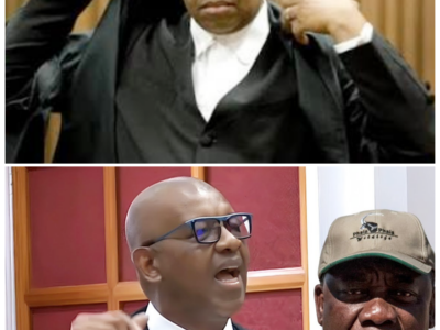ARROGANCE OR ANARCHY? The Shocking Moment Dali Mpofu Spat in the Face of the Law, Declaring War on the Bench and Exposing a Sinister Plot to Sabotage the Truth Before the World Discovers the Hidden Video Tapes That Link the Elite to a Midnight World of Forbidden Bribes and Lethal Political Deception!-ZZ  We’re taking you inside the eye of the hurricane where the ‘People’s Advocate’ just went full nuclear, trading his legal arguments for a scorched-earth tantrum that has the legal fraternity gasping for air and wondering if this is a brilliant defense or the final, hysterical scream of a man who knows the game is officially over and the handcuffs are waiting just outside the door.  The full story is in the comments below.