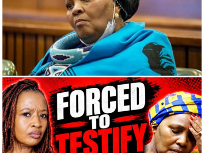 THE ULTIMATE RECKONING: MAPISA-NQAKULA’S LAST STAND TURNS INTO A BLOODY LEGAL BATTLE AS THE TRADITIONAL HEALER’S TESTIMONY LOOMS LIKE A DEATH SENTENCE, PROVING THAT NOT EVEN THE HIGHEST OFFICE IN THE LAND CAN PROTECT YOU WHEN THE TRUTH STARTS TO UNRAVEL IN A SPECTACULAR DISPLAY OF PUBLIC RUIN AND SPIRITUAL SCANDAL!  Hold onto your seats because the political thriller of the decade just hit a fever pitch, with Mapisa-Nqakula standing alone against a tide of evidence that is as bizarre as it is damning. As the courtroom prepares for a testimony that will bridge the gap between the boardroom and the ritual hut, the message is loud and clear: the clock has run out, the protection has failed, and the “Buffalo” era is bleeding out under the weight of its own dark history! -ZZ  The full story is in the comments below.