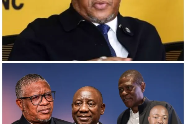 “It seemed like a victory, until everyone noticed the timing of Mbalula’s tears. That’s when it became clear that the end was orchestrated…”